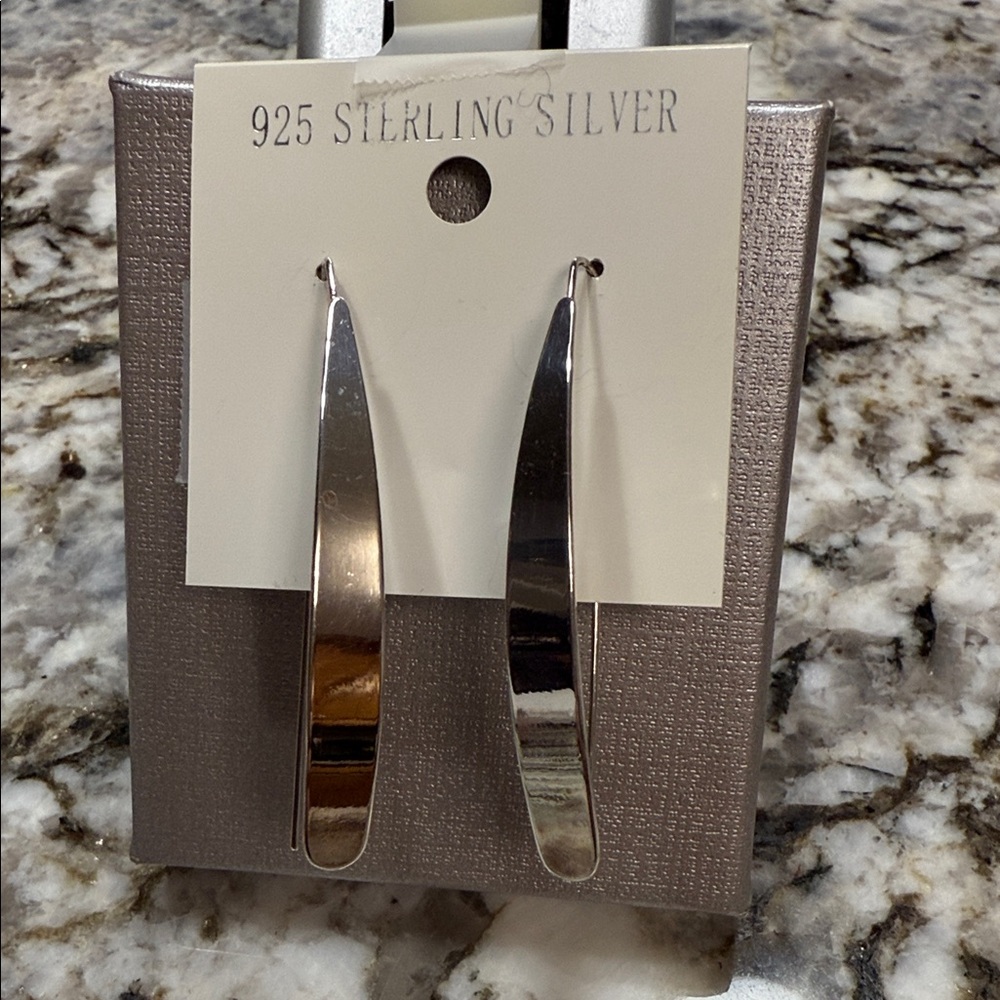 Chic Sterling Silver Earrings - Picture 3 of 7